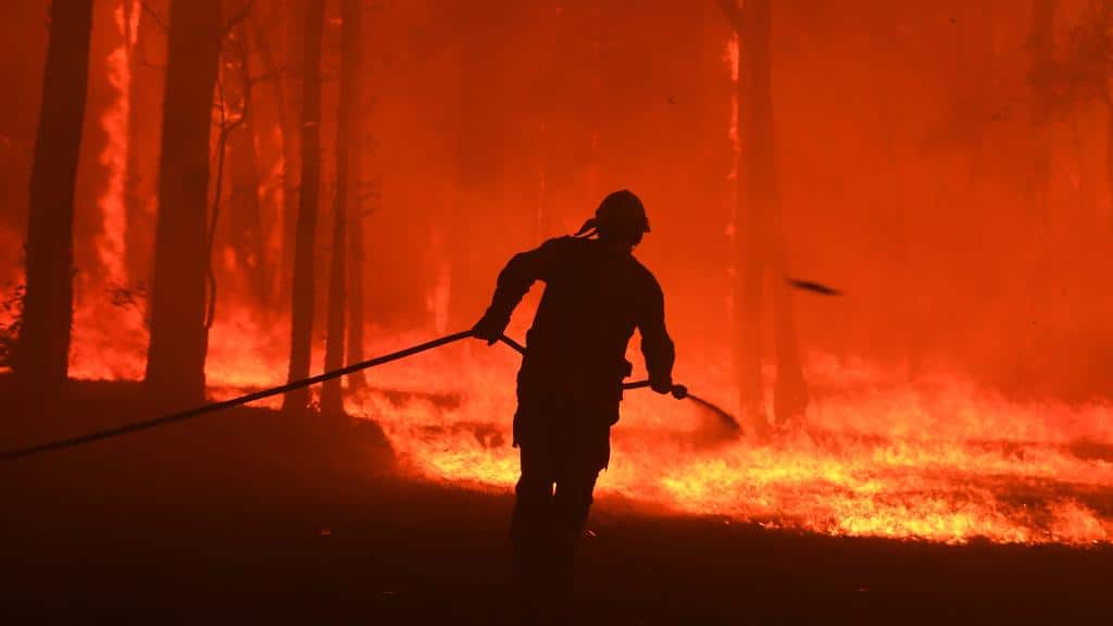 bushfires, Hatch