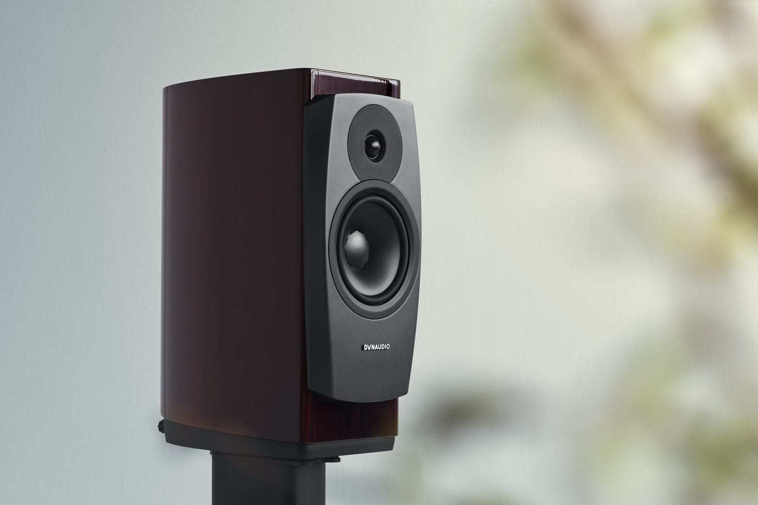 Dynaudio Confidence 20 Ruby Wood 