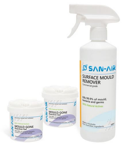 San-Air Mould Remover